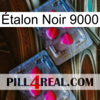 Étalon Noir 9000 14